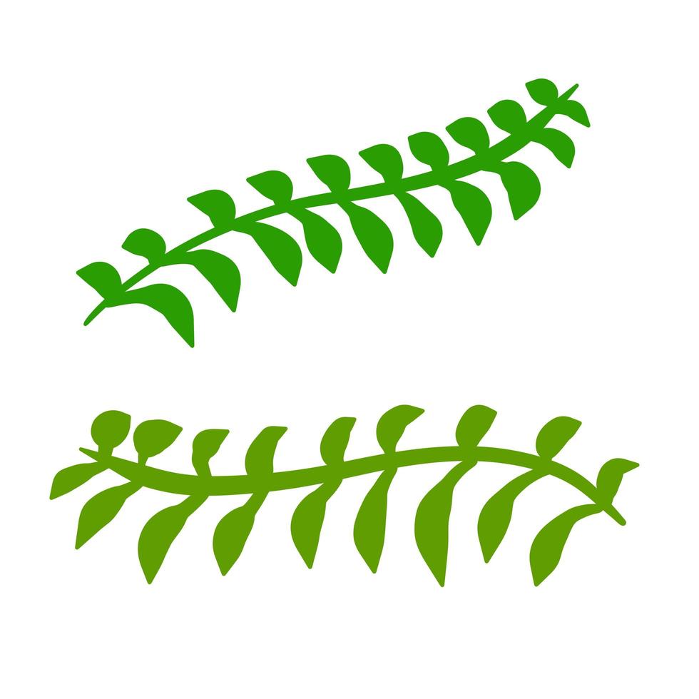 Fern leaf. Element of nature and the forest. Green bracken plant. vector