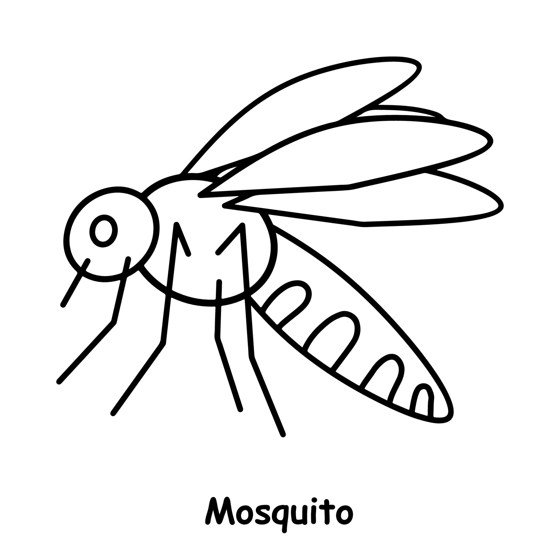 fastversion How to Draw mosquito  Step by Step Tutorial  YouTube