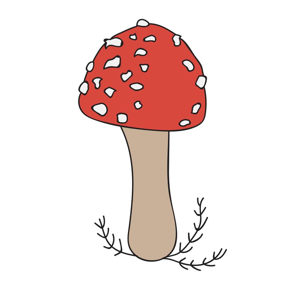 Vector cartoon fly agaric mushroom icon isolated on white background