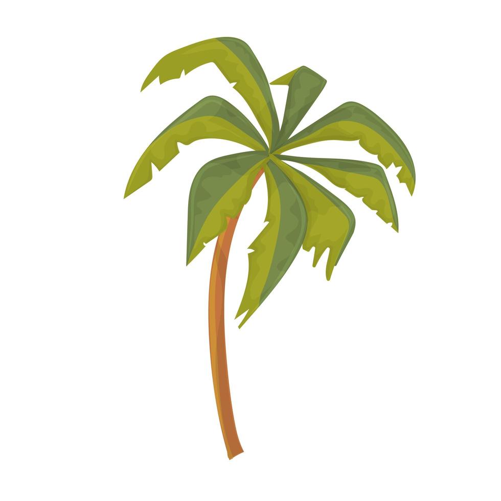 palmera aislada sobre fondo blanco. lindo estilo de dibujos animados. ilustración vectorial vector