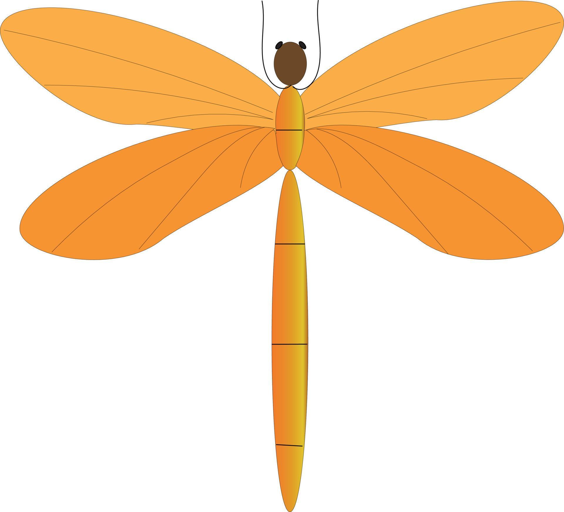 Orange Dragonfly Vector 5994531 Vector Art at Vecteezy