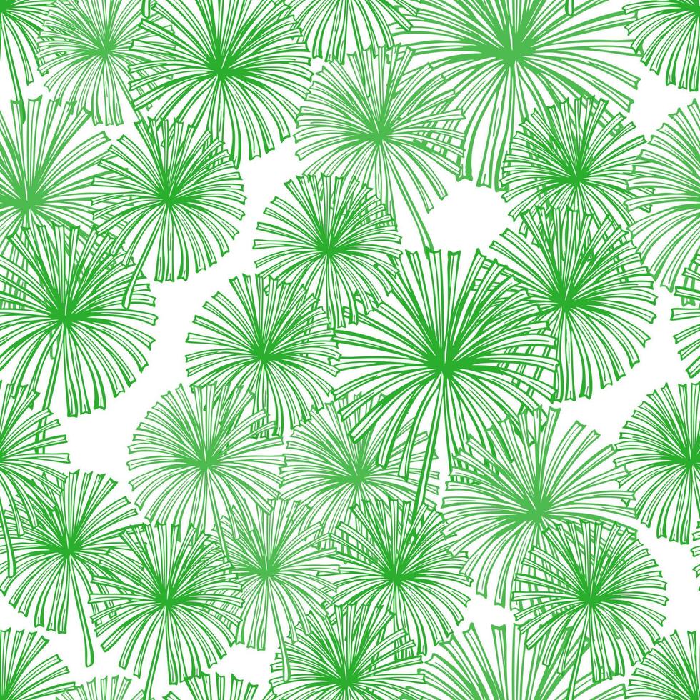Fan palm leaves seamless pattern on. Vintage tropical foliage in engraving style. vector