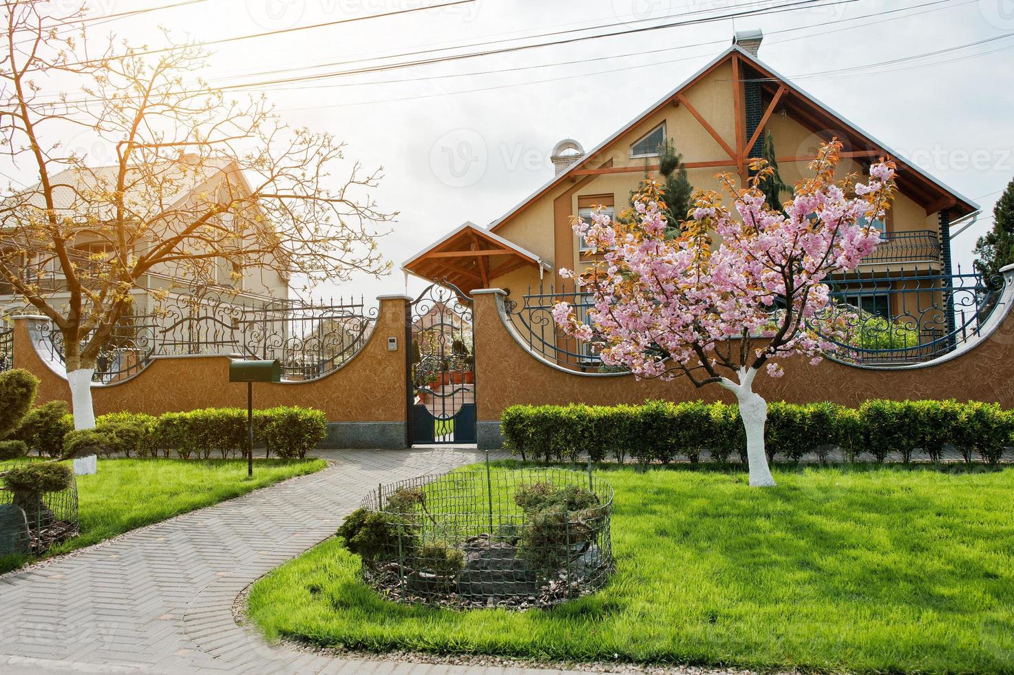 Green lawn with bushes and cherry tree with blossom photo