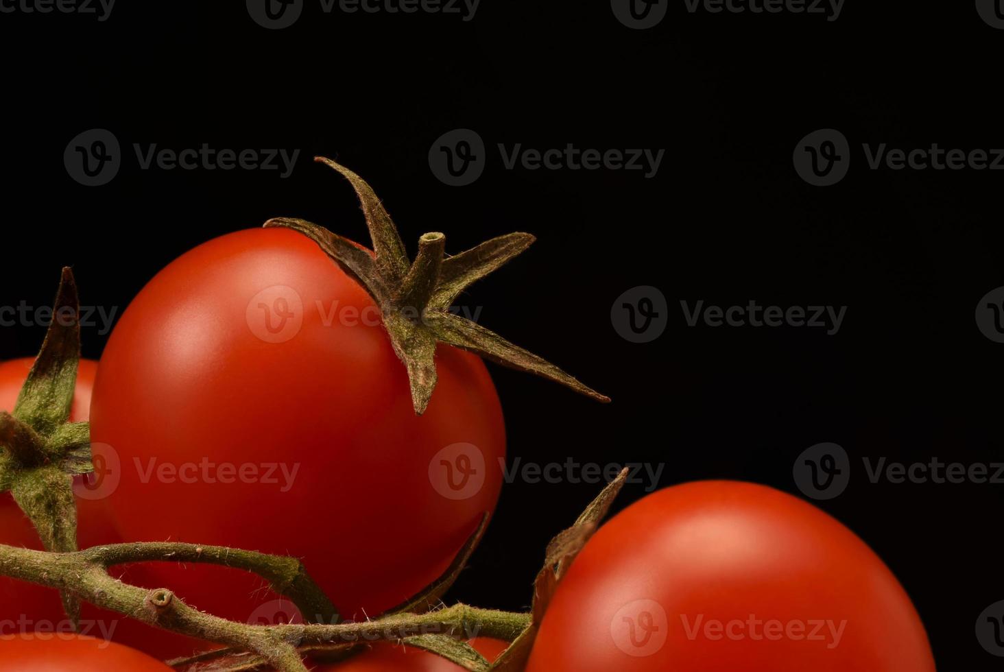 Cherry tomatoes on a branch close-up. Isolated on black background. photo