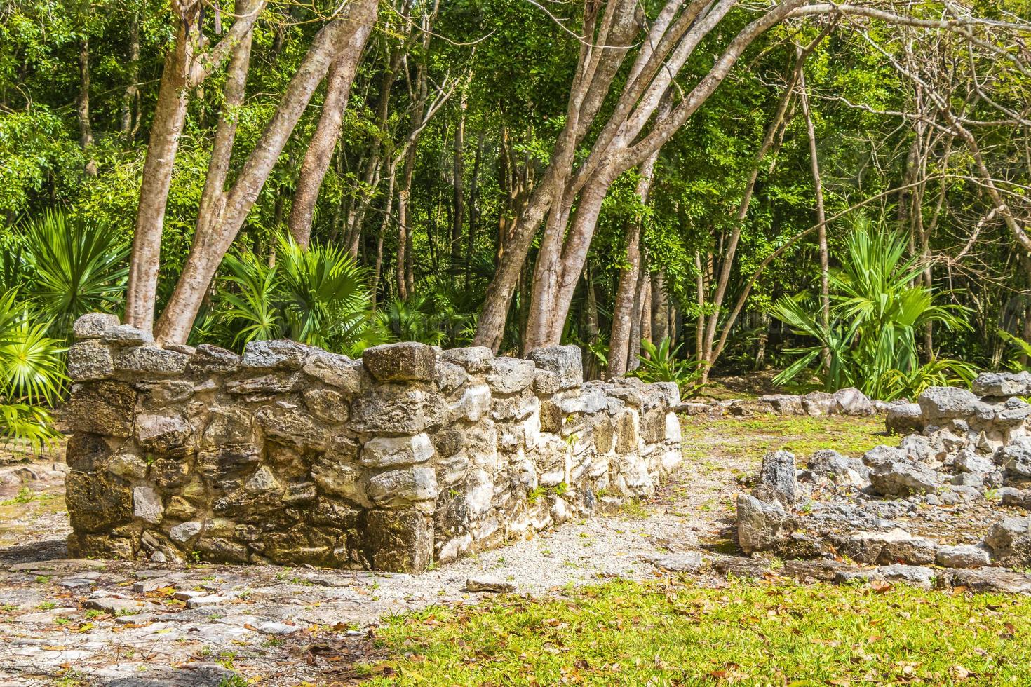 Ancient Mayan site with temple ruins pyramids artifacts Muyil Mexico. photo