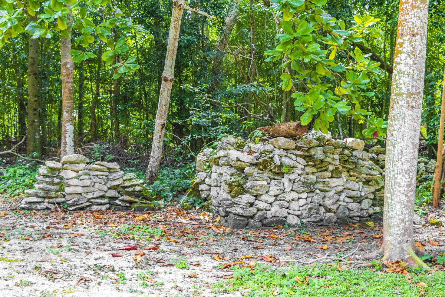 Ancient Mayan site with temple ruins pyramids artifacts Muyil Mexico. photo