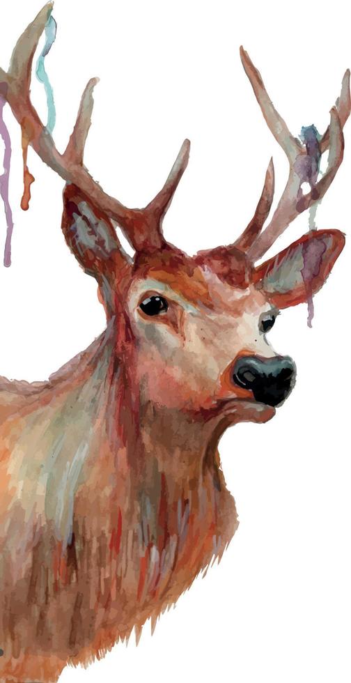 watercolor stag illustration vector