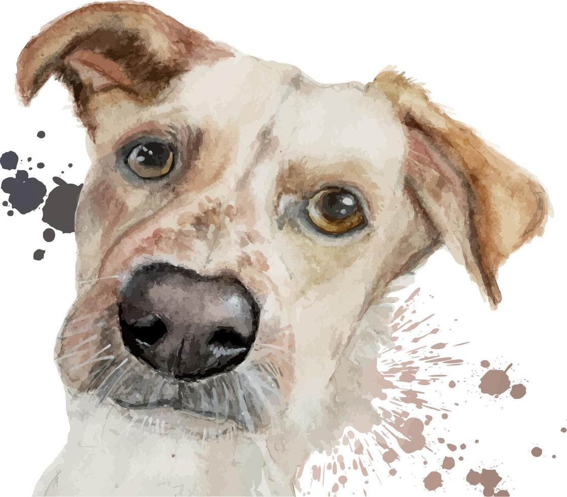 White and brown dog watercolor illustration portrait vector