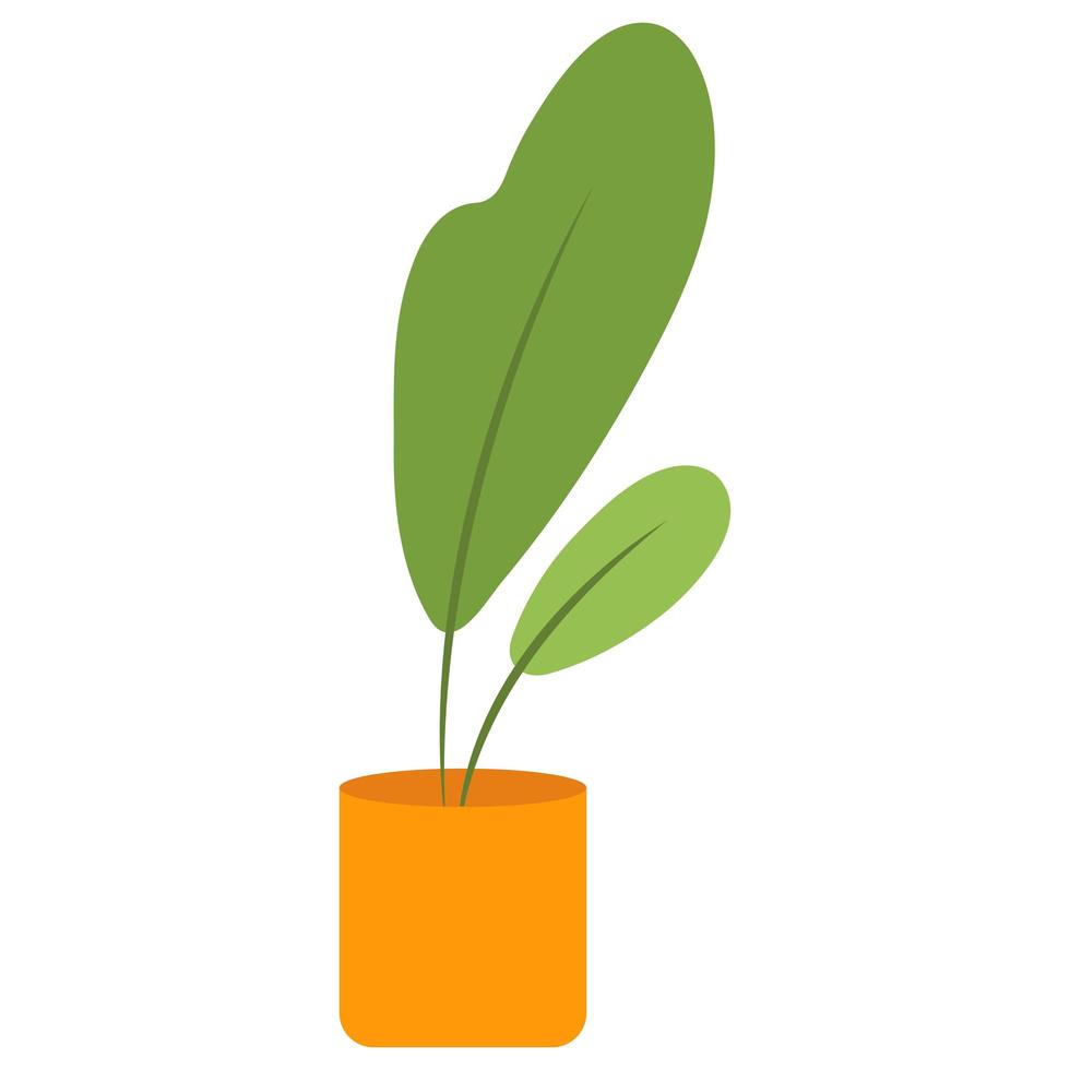 Plant in orange flower pot isolated on white background vector