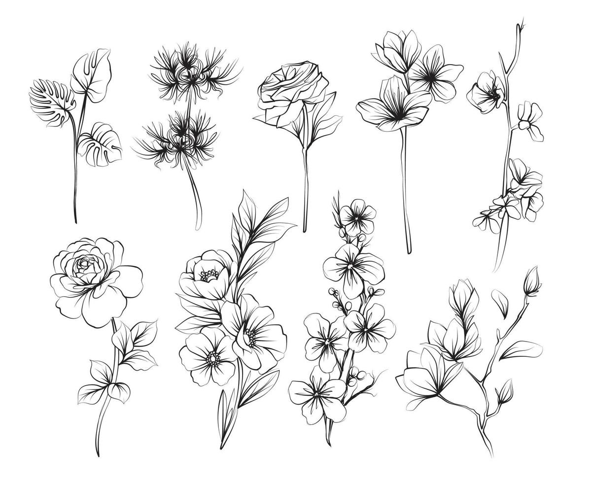 flowers hand drawing and sketch black and white vector