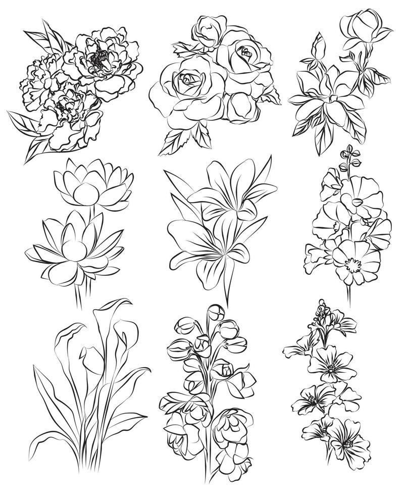 flowers hand drawing set sketch black and white vector