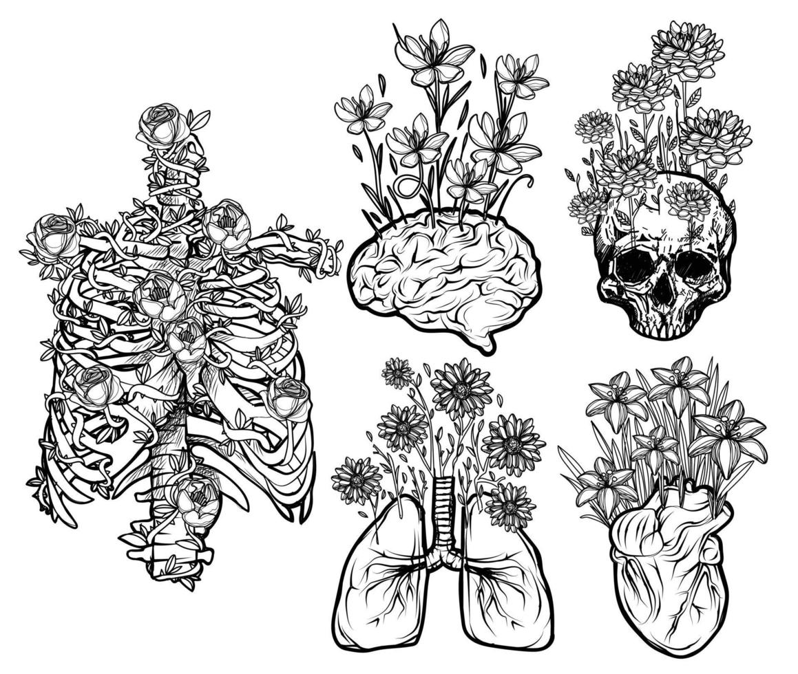 Human organs flat flower set sketch black and white vector