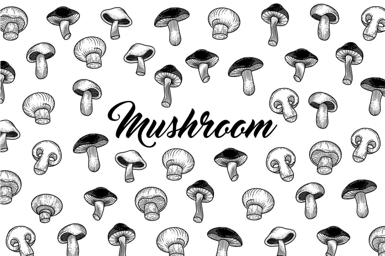 Set Mushroom healthy food engraved Hand Drawn Outline illustration vector