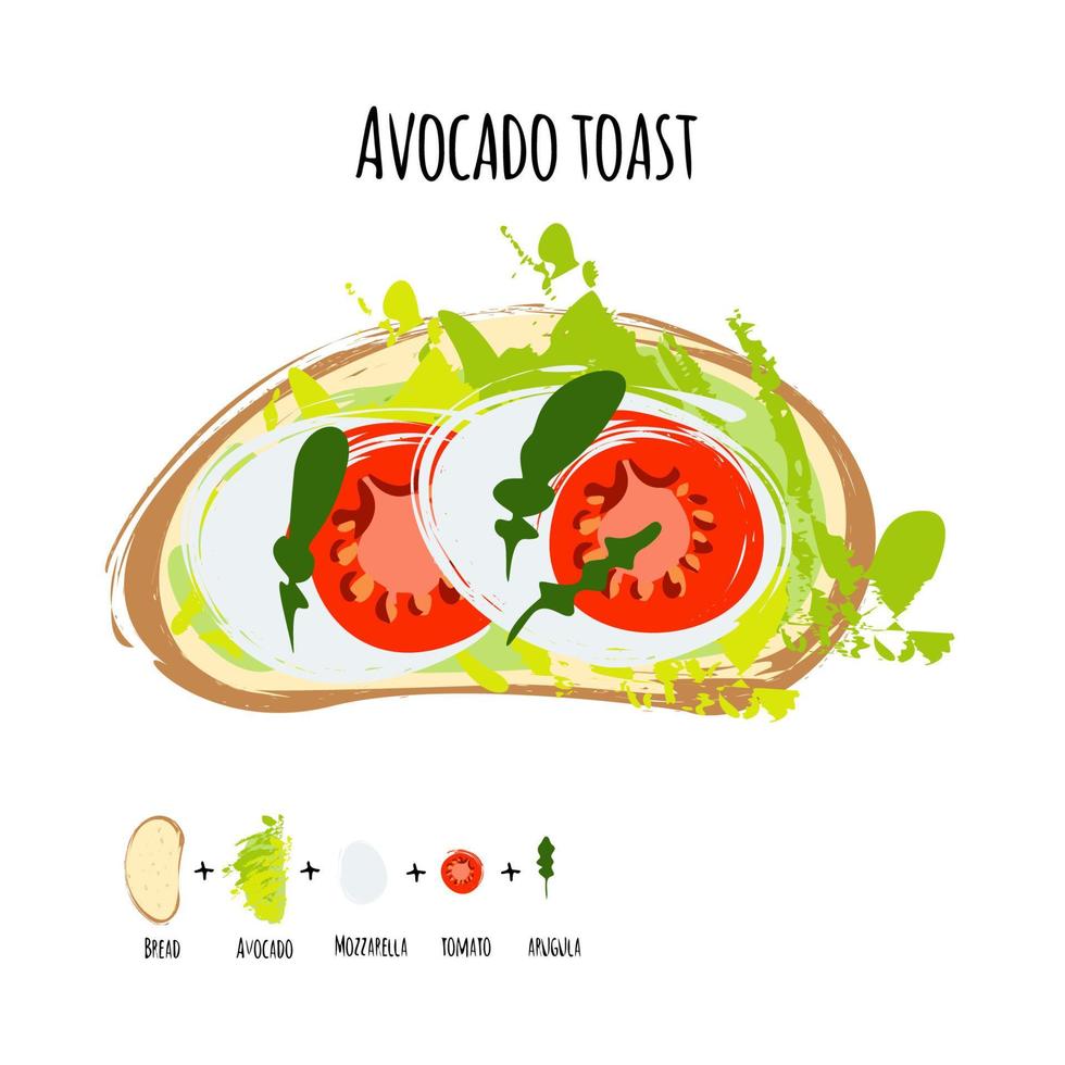 Vector illustration avocado hummus toasts with tomatoes, mozzarella Isolated.