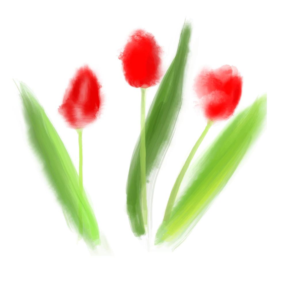 ilustración vectorial tulipanes rojos en estilo acuarela sobre blanco vector