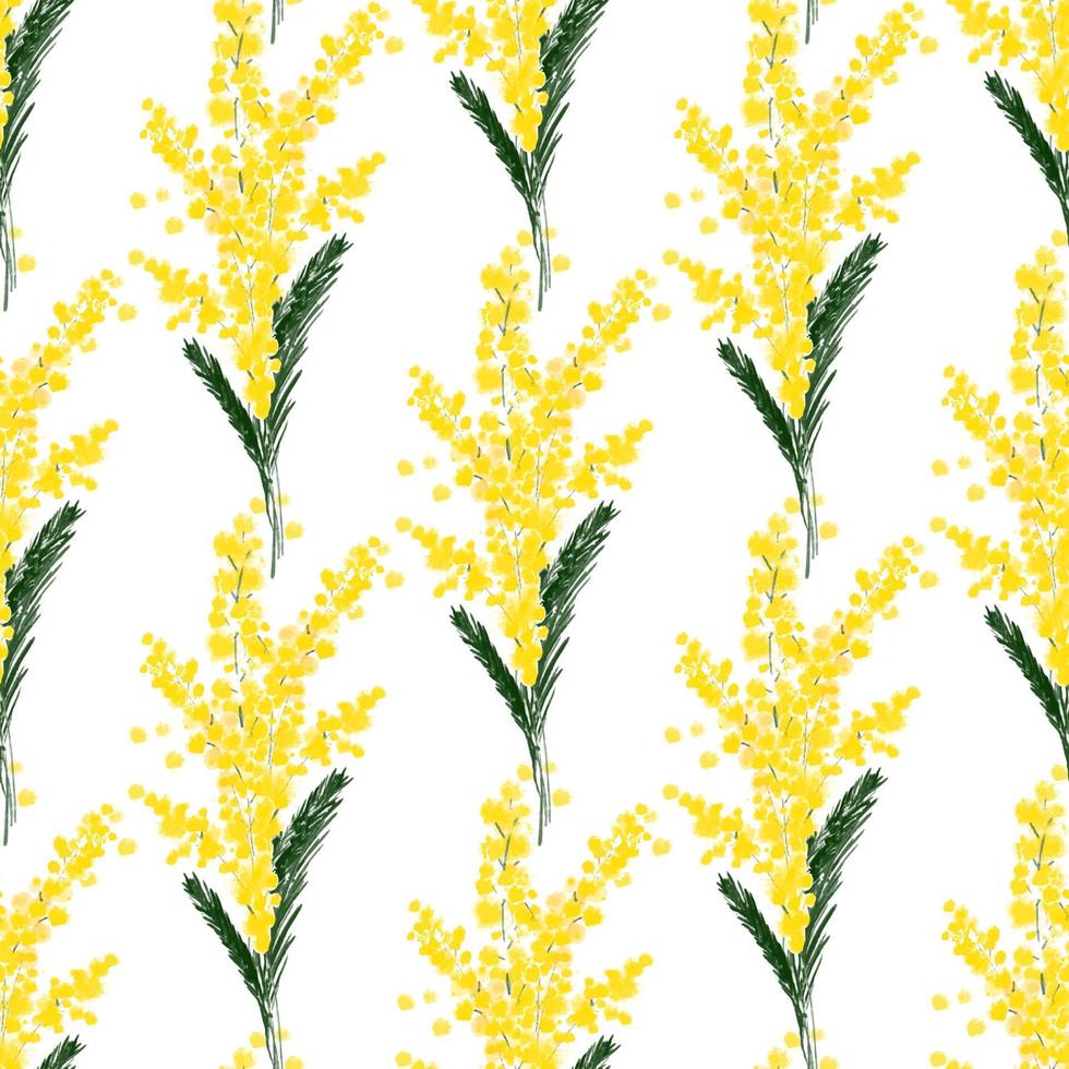 Seamless pattern with llustration a spring mimosa flower on a white background Vector