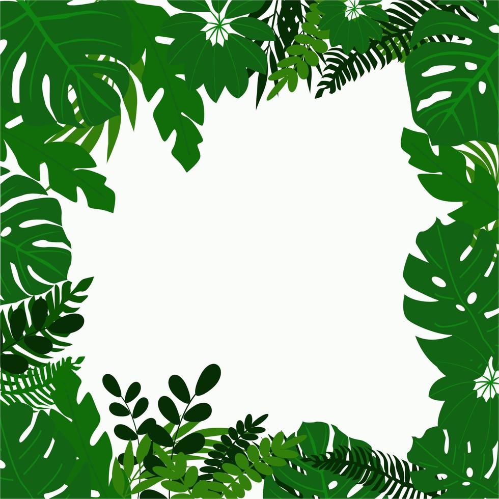 Tropical leaves frame. vector