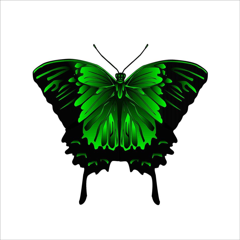 Green tropical butterfly. vector