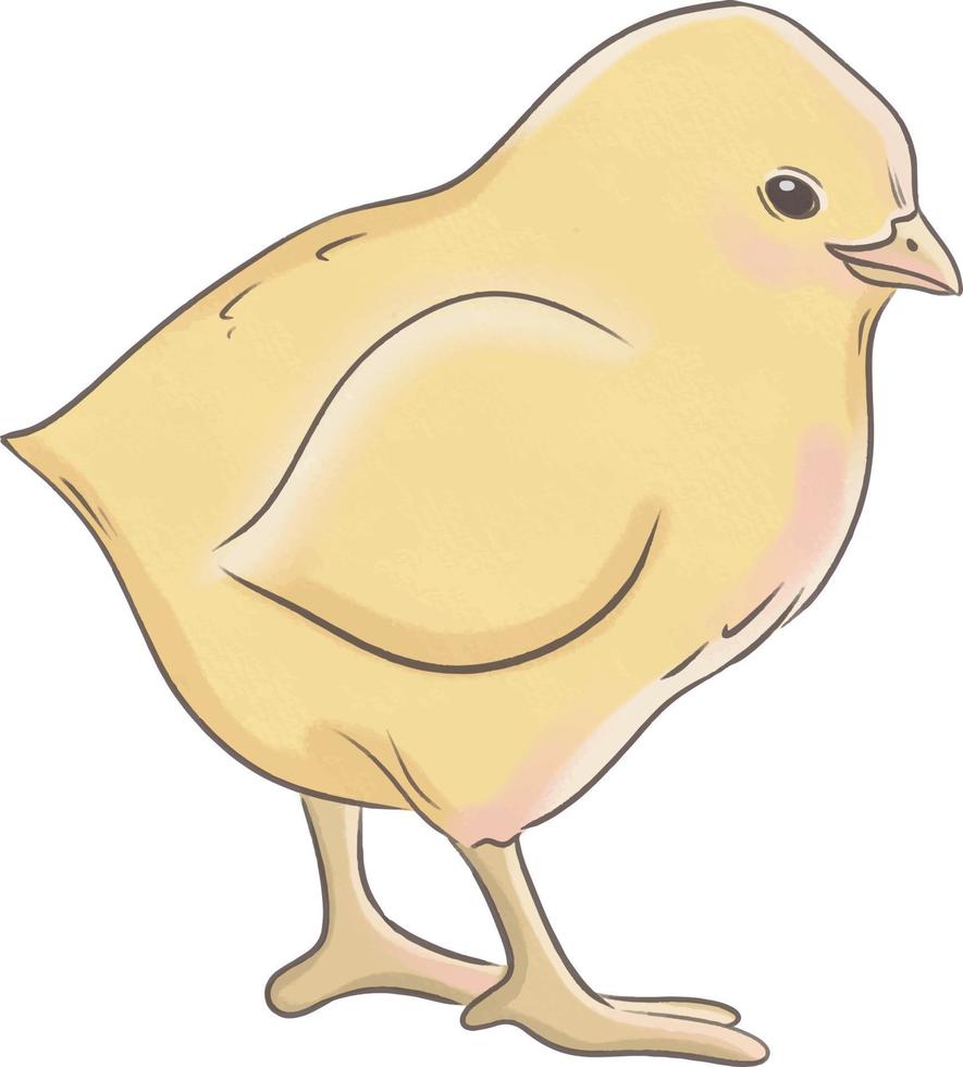 Cute yellow chick illustration vector