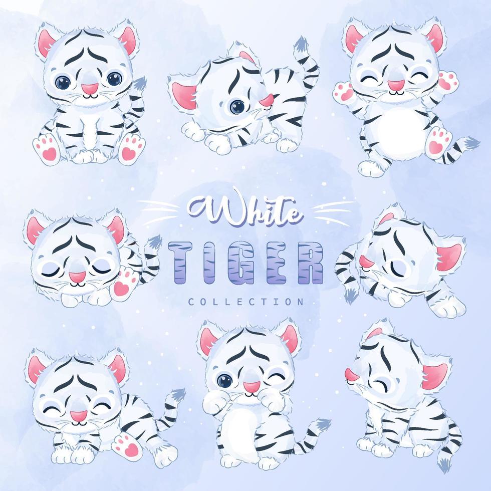 colección de imágenes prediseñadas de tigre blanco vector