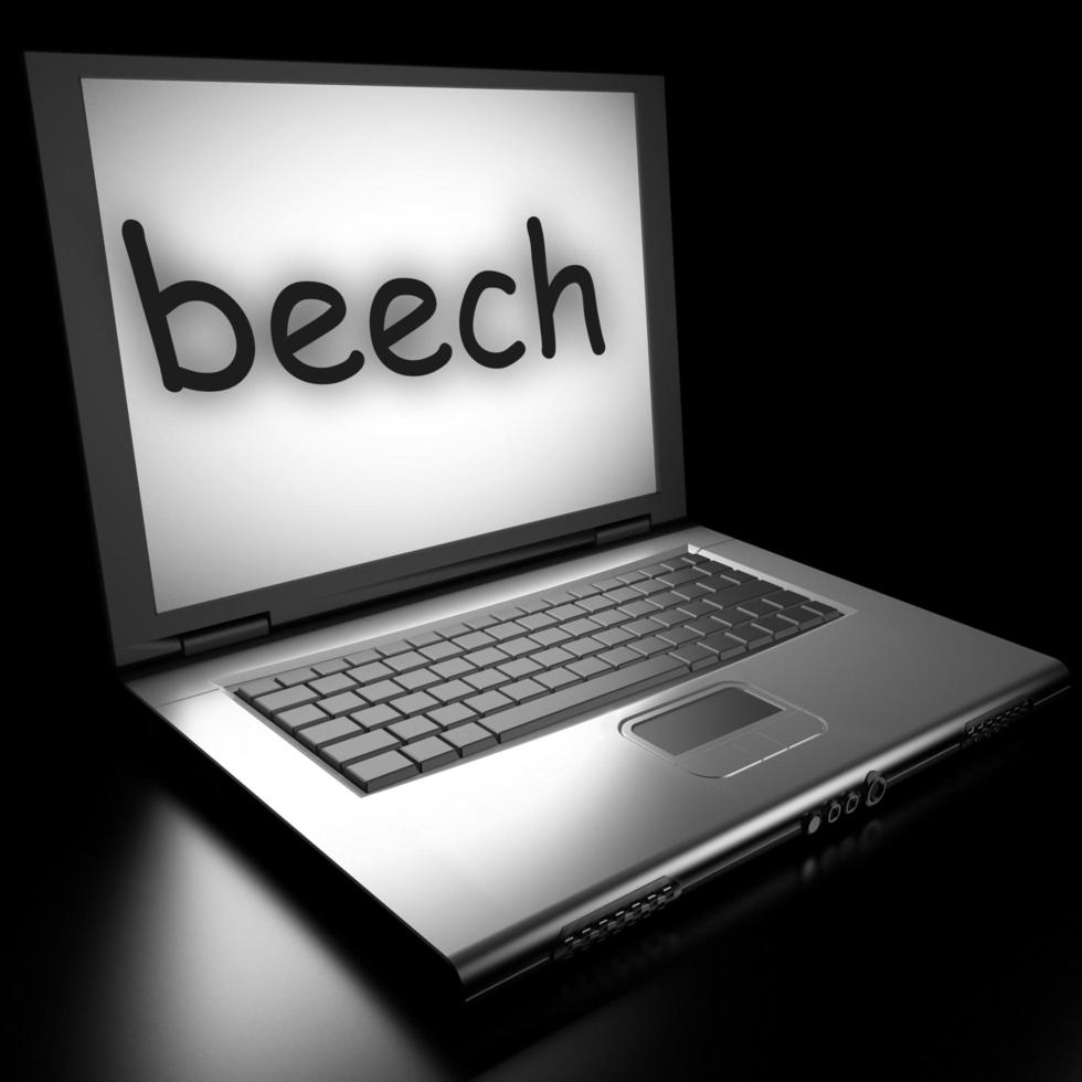 beech word on laptop photo