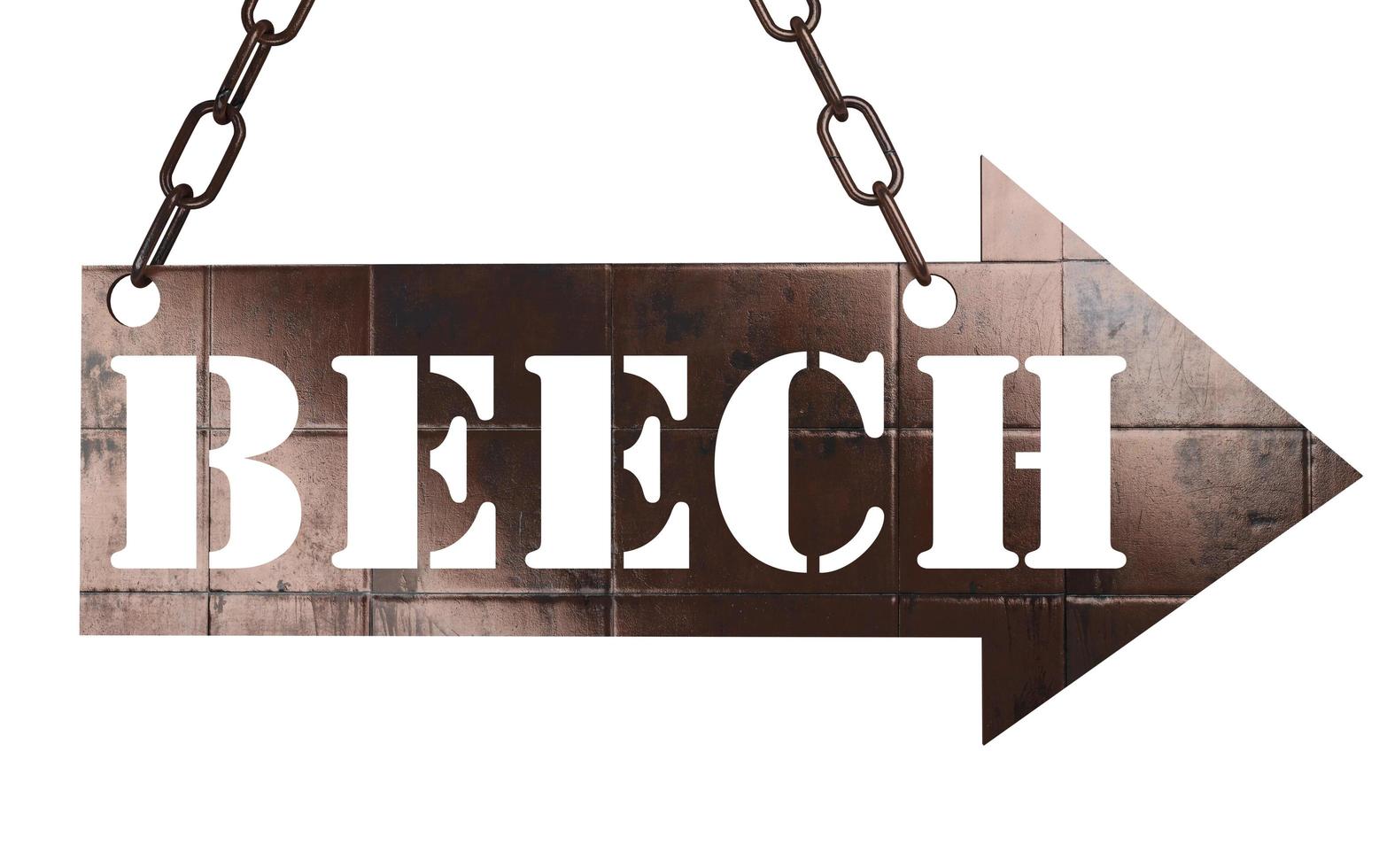 beech word on metal pointer photo