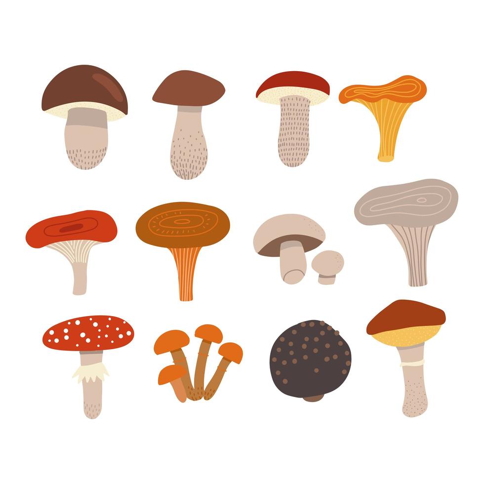 Edible mushrooms set with poisonous fly agaric. Different types of mushrooms, such as Champignons, chanterelles, porcini mushrooms, slippery jack, russula, truffle, boletus in trendy flat style. vector
