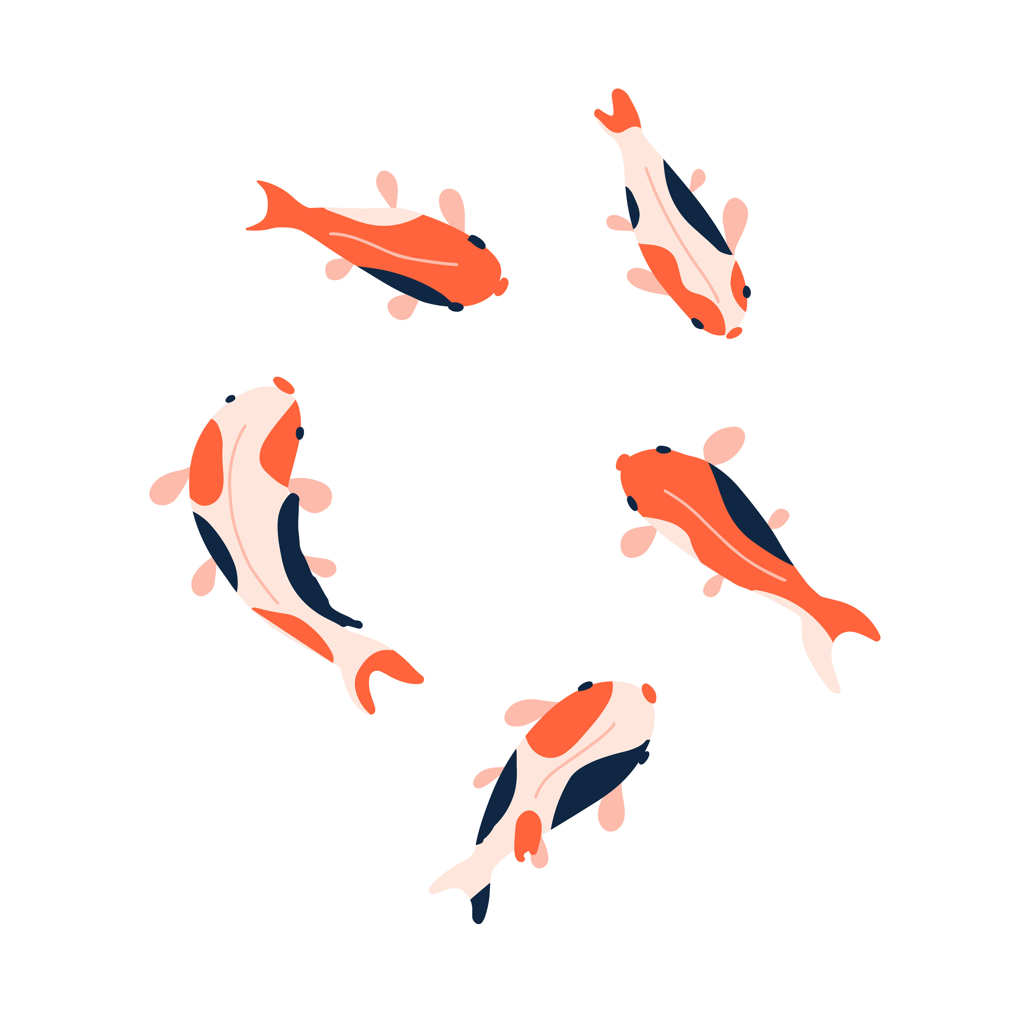 Koi fish set isolated on a white background. Top view. Vector flat