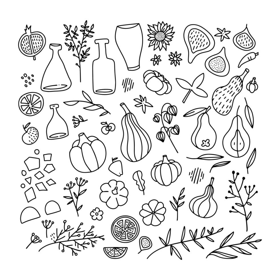 Thanksgiving and autumn traditional symbols in doodle style collection. Set of hand drawn design elements for greeting card, invitation, poster templates - fig, pumpkin, branches, leaves , bottles. vector