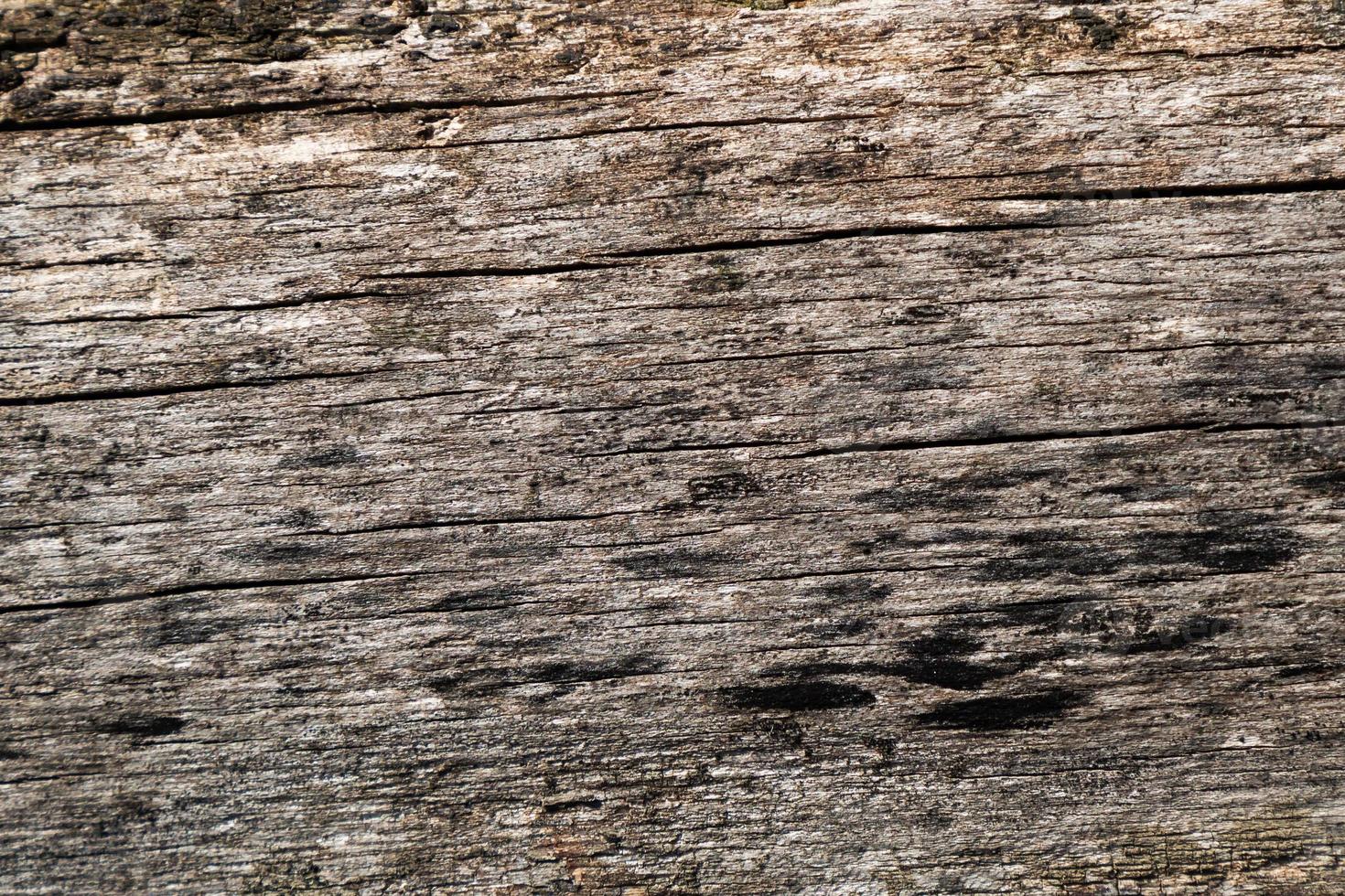 Wood abstract texture. Surface grunge backdrop. Dirty wooden effect pattern. Material background. photo