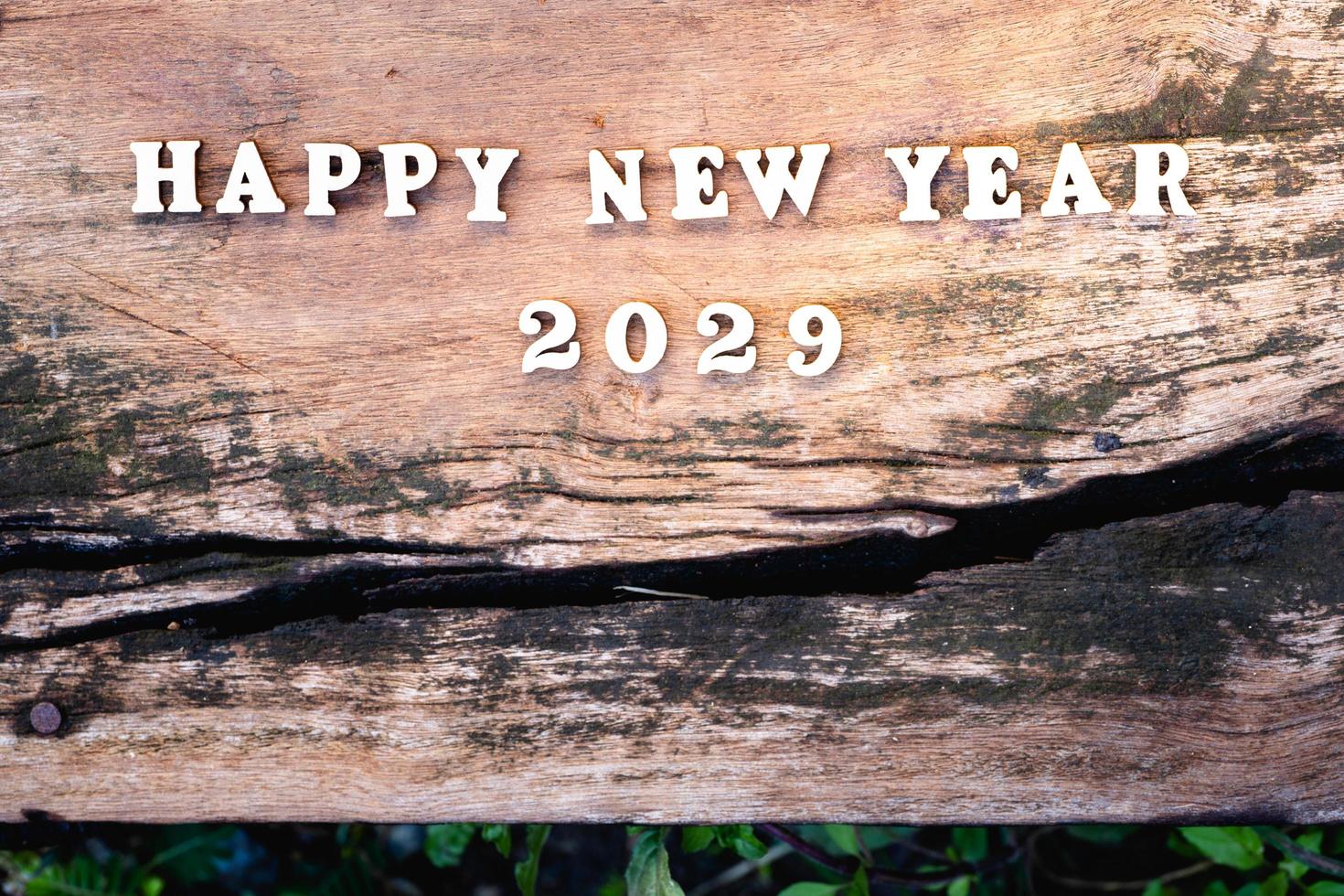 Happy New Year 2029 concept. Wood text on vintage plank wooden. Empty space for enter text. photo