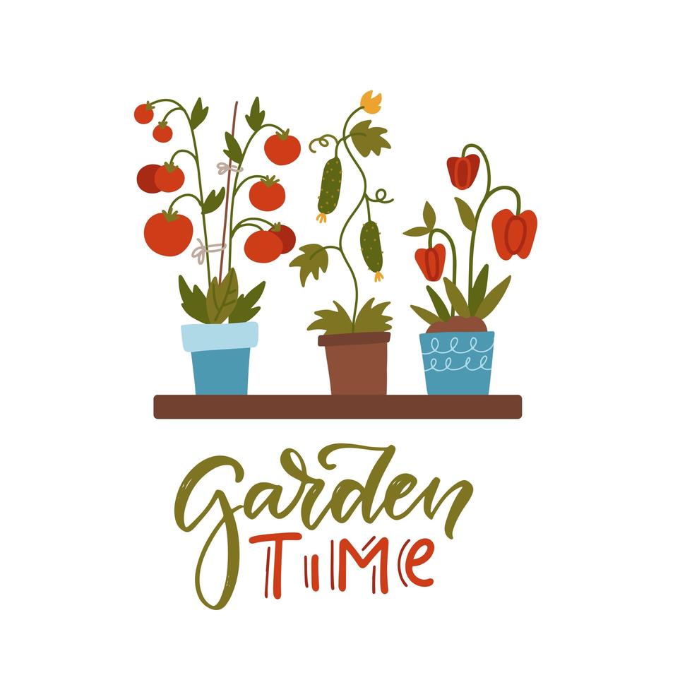 Home gardening concept - seedlings of various vegetable plants in flower pots on the shelf. Lettering quote - Garden time. Flat vector illustartion.