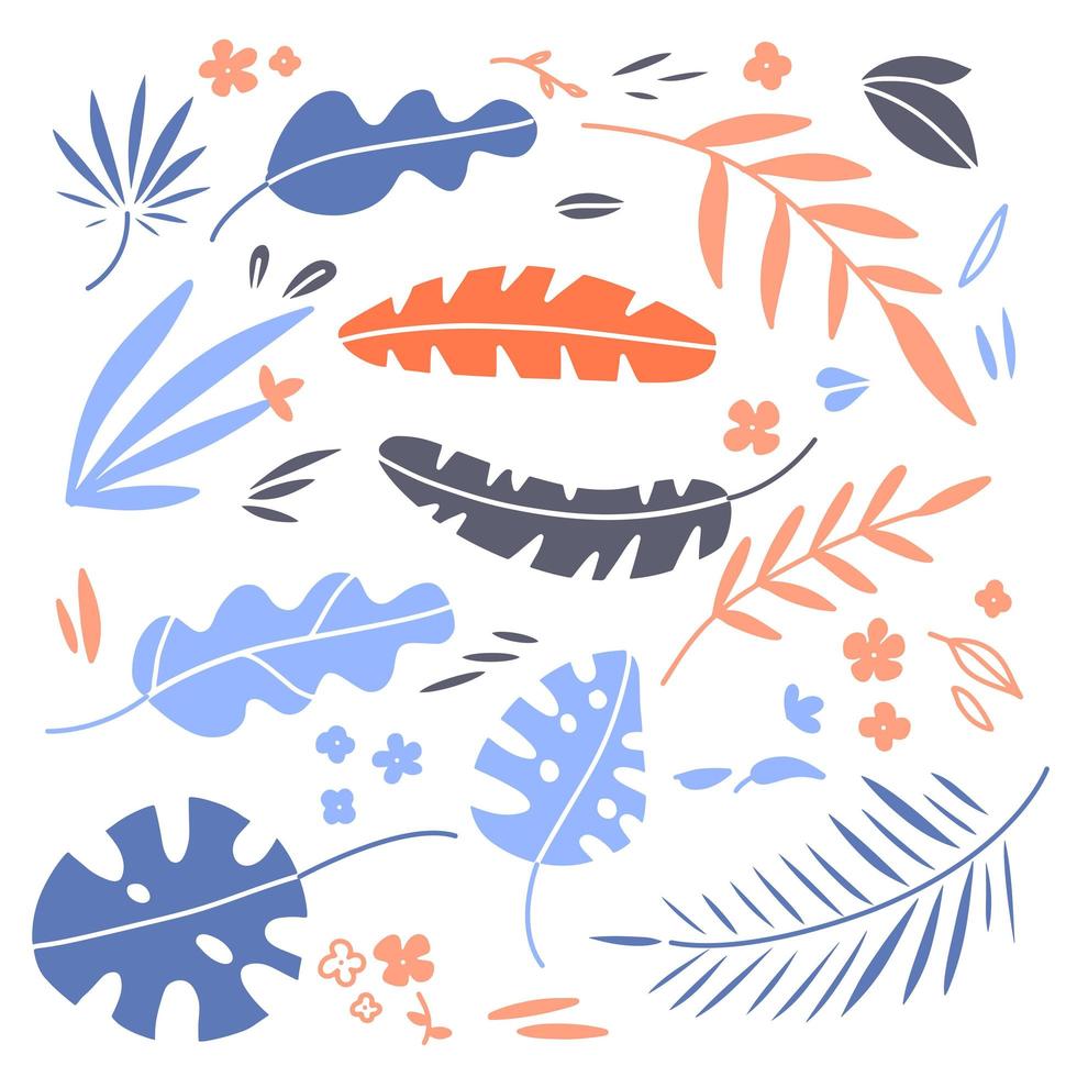 Exotic leaves hand drawn flat illustrations set. Jungle, rainforest foliage sketch cliparts collection. Palm, banana, monstera, aralia leaves. Brignt Houseplants drawings. Botanical design elements vector