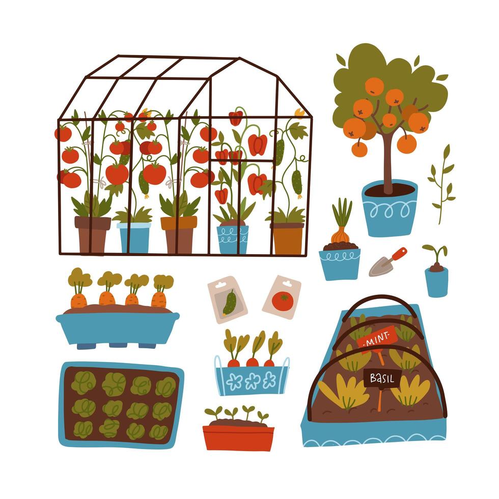 conjunto de plantas y escenas: invernadero, camas, macetas y estantes con plantas, semillas y brotes. concepto de jardinería. ilustración plana vectorial vector