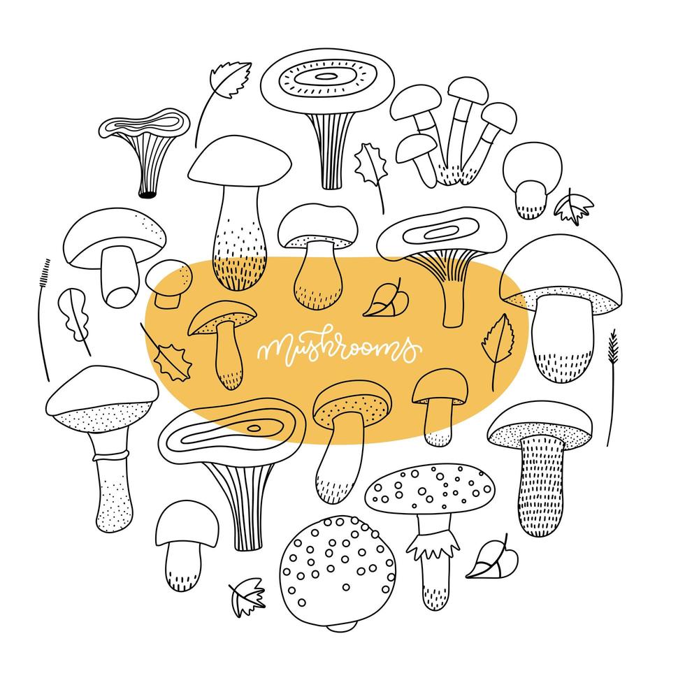 Mushroom linear clip art set. Autumn mood isolated line art icon collection for print, banner, poster, greeting card design element vector