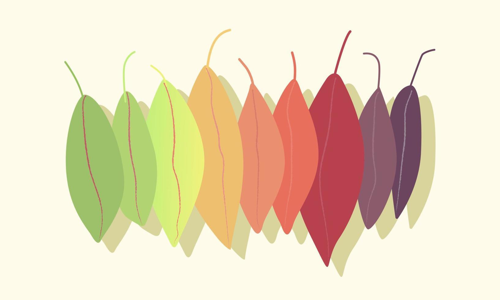 Leaves. Leaves change colors. Time of the year. vector