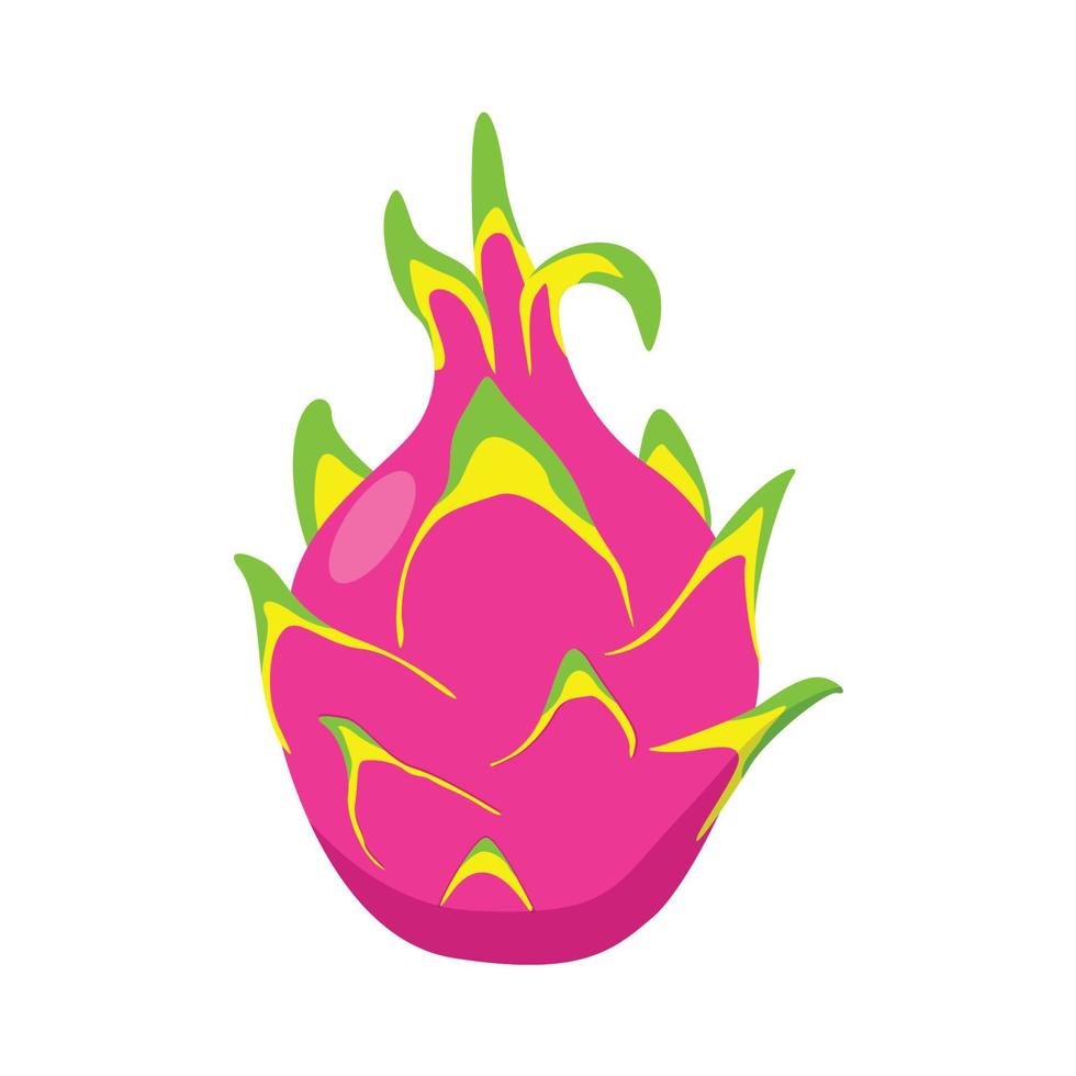 vector de fruta de dragón