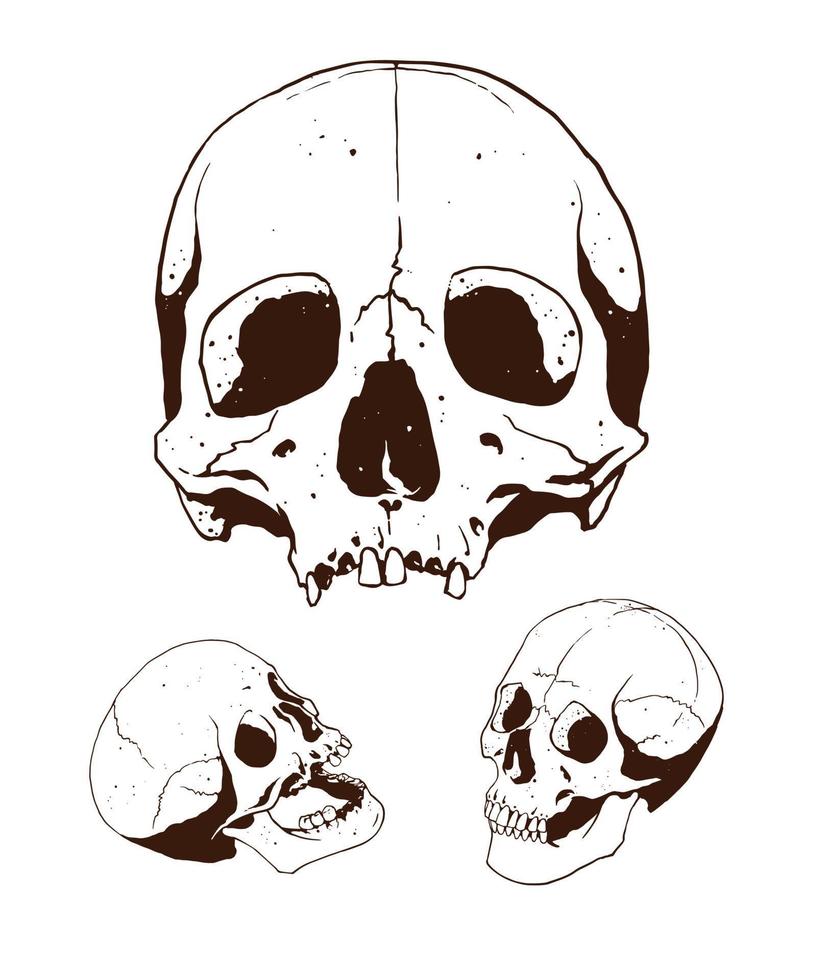 ilustración de conjunto de cráneo vector
