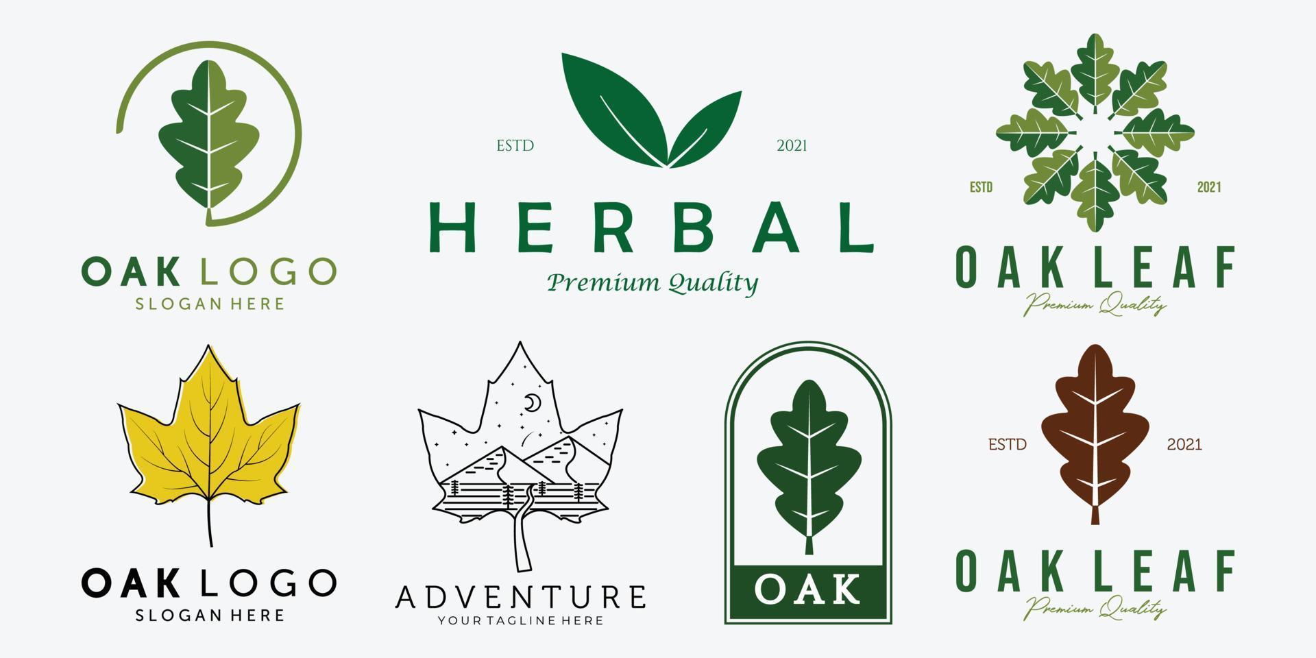 Set Bundle of Oak Leaves Leaf Vintage Line Art Vector Logo, Illustration Design of Nature Medicine Concept