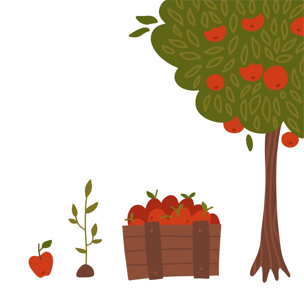 Gardening Set - Tree with apples, Sprout in ground, Wooden box for fruits and apple. Vector flat hand drawn illustration.