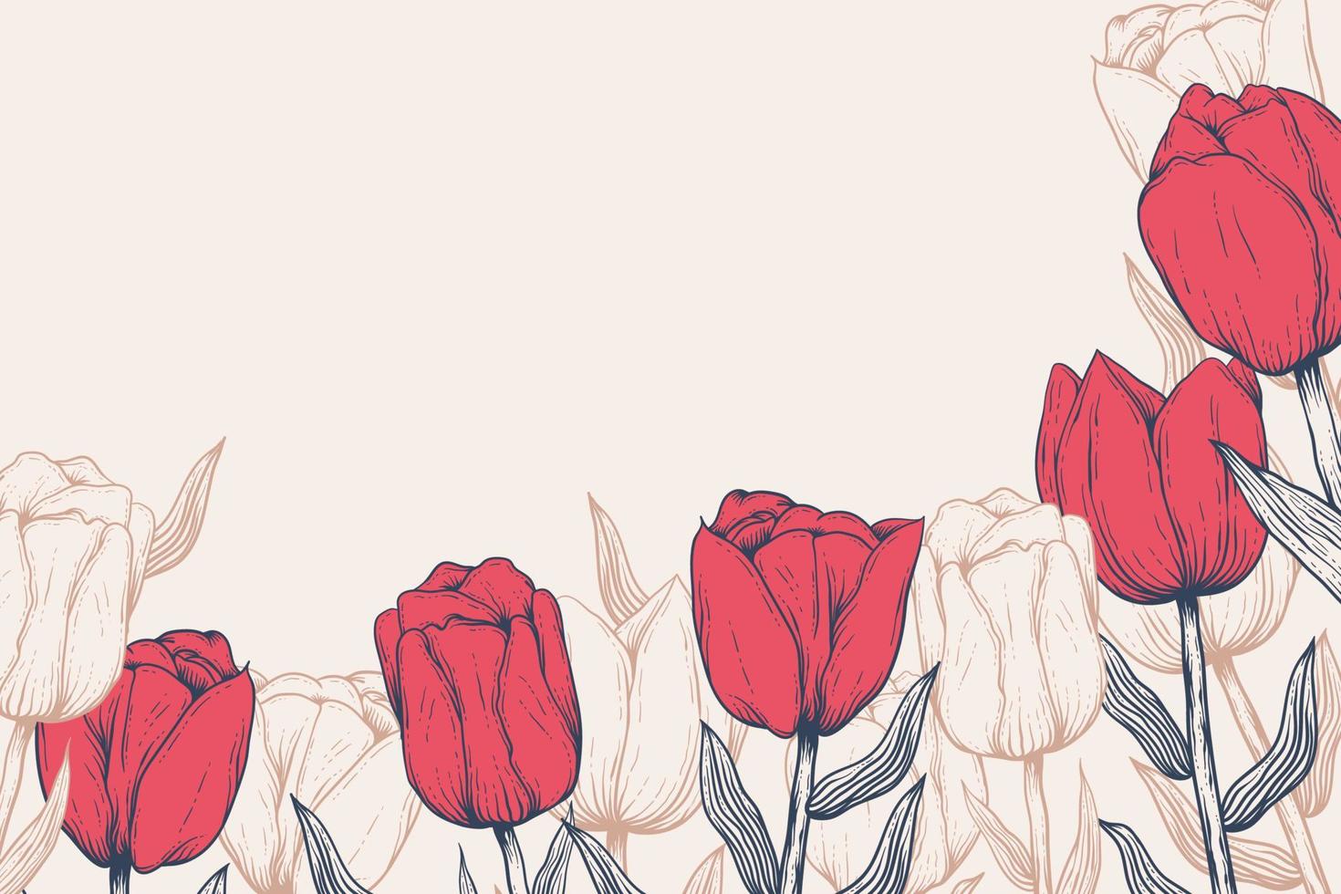 Red Tulips hand drawn Background vector