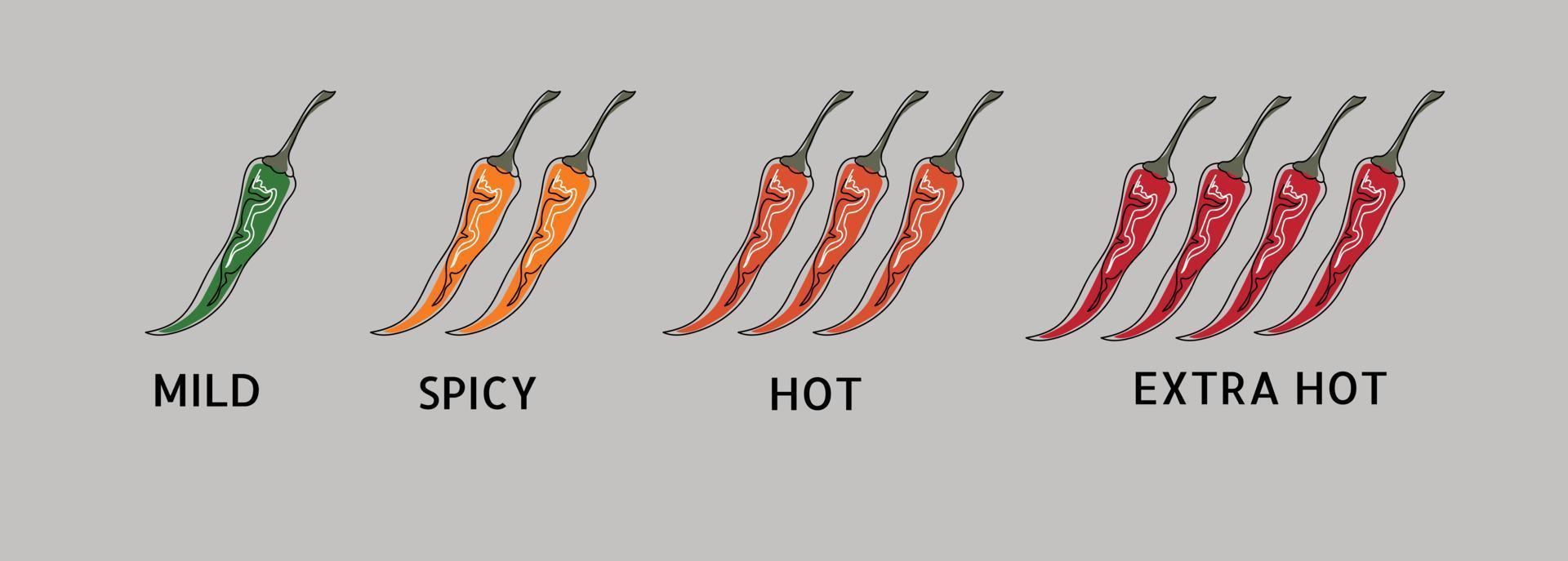 niveles de fuerza de especias chili, suave, medio y extra picante. vector