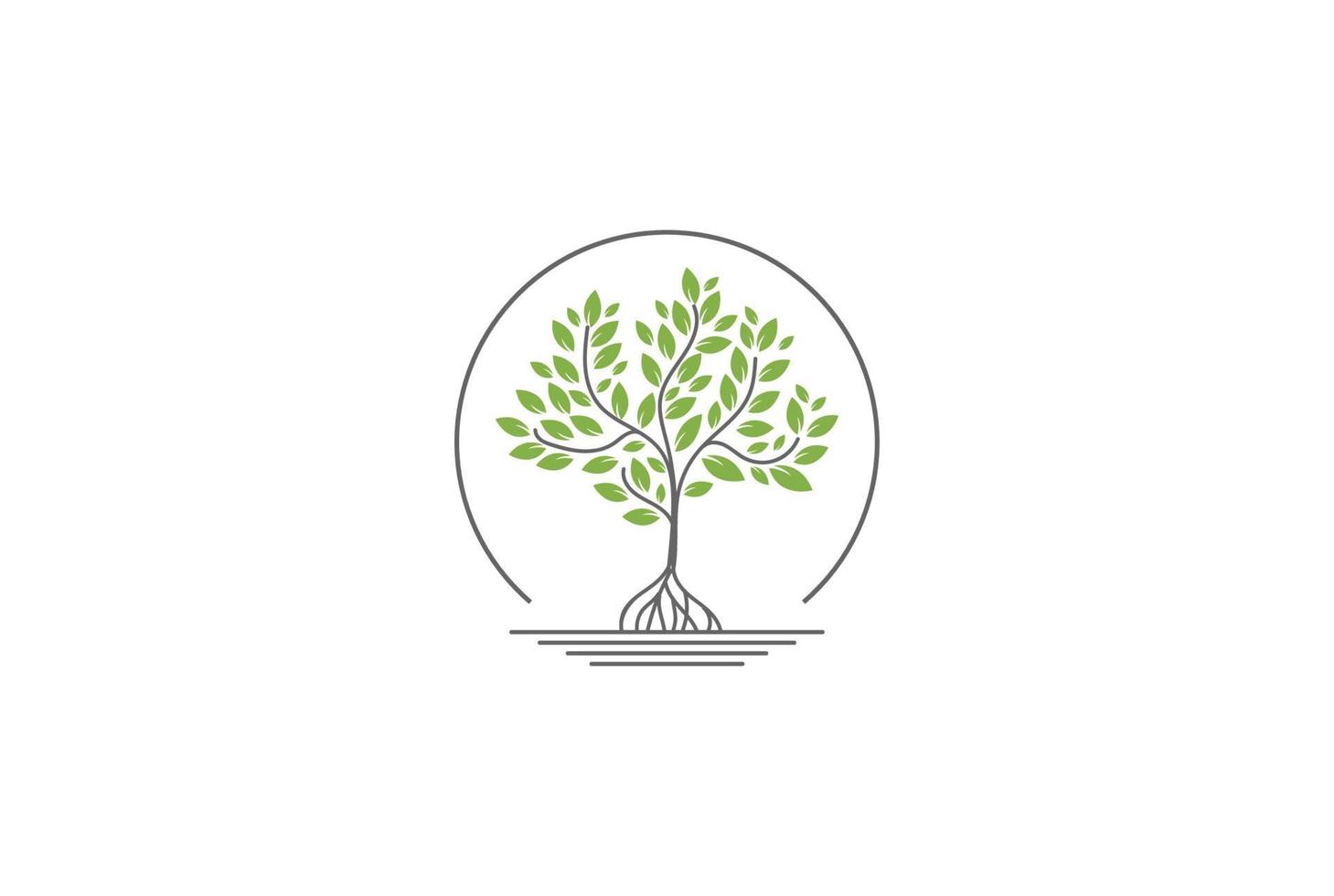 árbol de planta de mangle verde moderno para vector de diseño de logotipo de conservación de parque de jardín