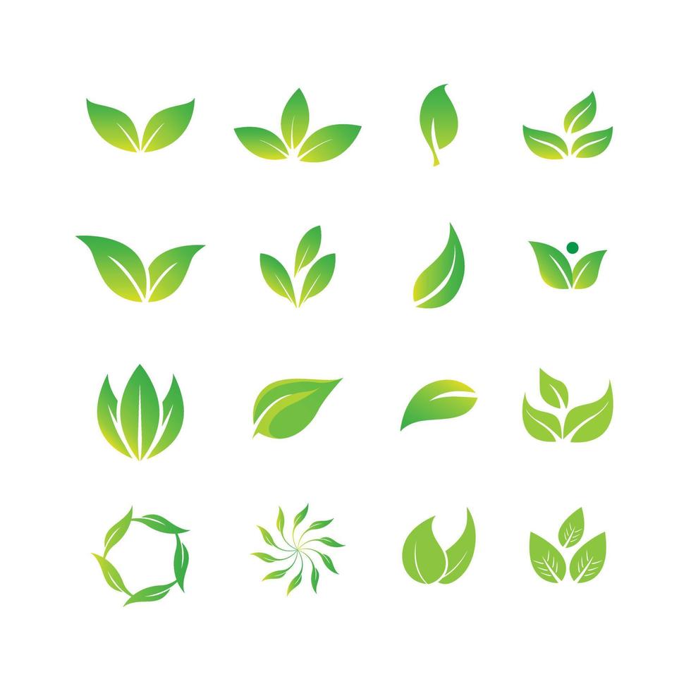 Green leaf icon set. vector