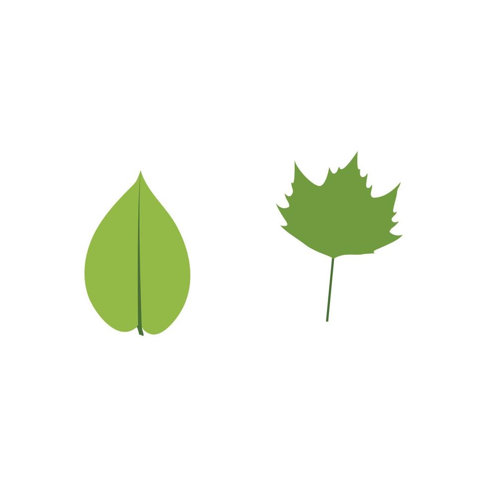 Green Leaf Icon vector