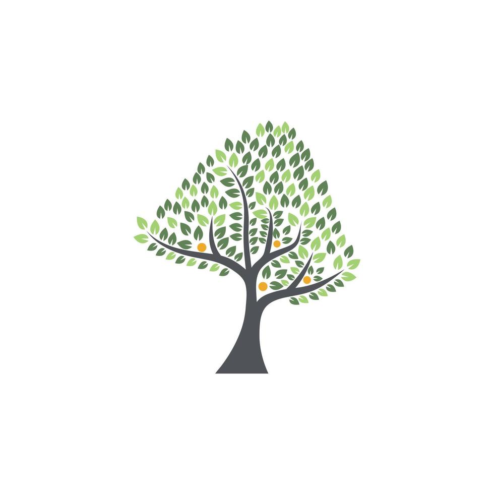 Abstract Vector Tree Logo