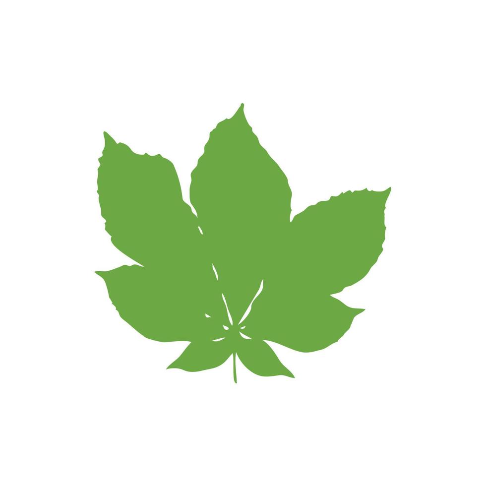 icono de hoja verde vector