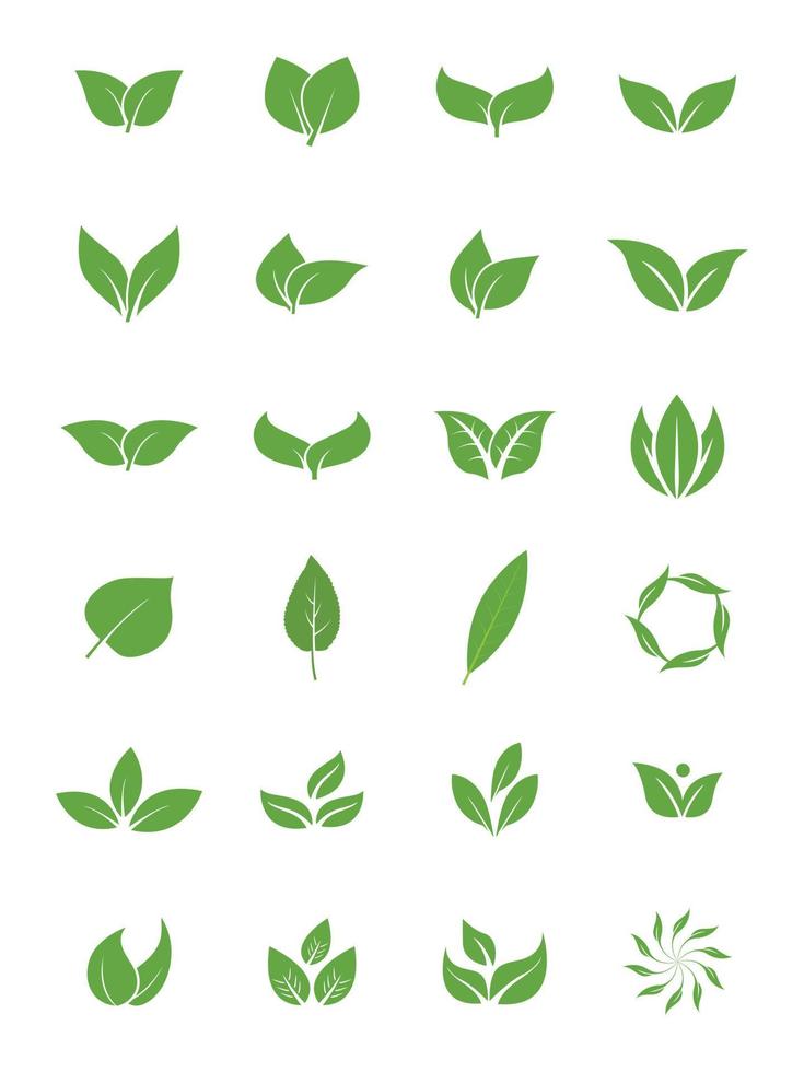 Green leaf icon set, on white background. vector