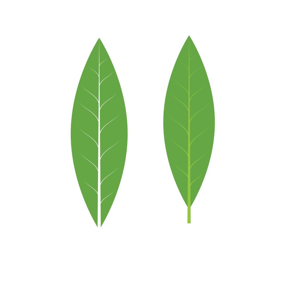 Abstract vector leaf icon.
