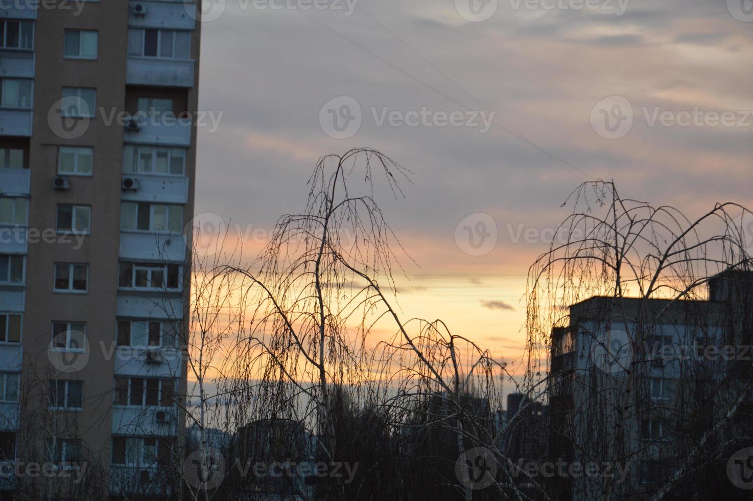 New buildings against the backdrop of pink clouds in the city photo